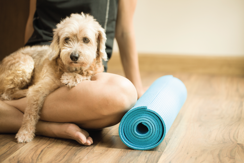 Intro-to-Yoga