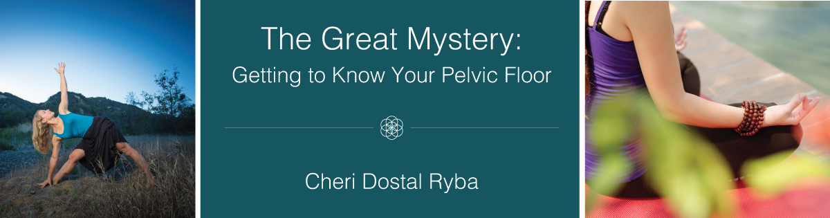 pelvic-floor-cheri