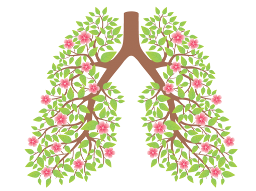 Pranayama