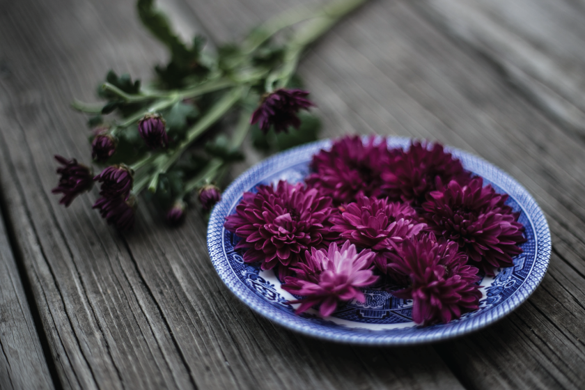 Ayurvedic Anatomy & Physiology